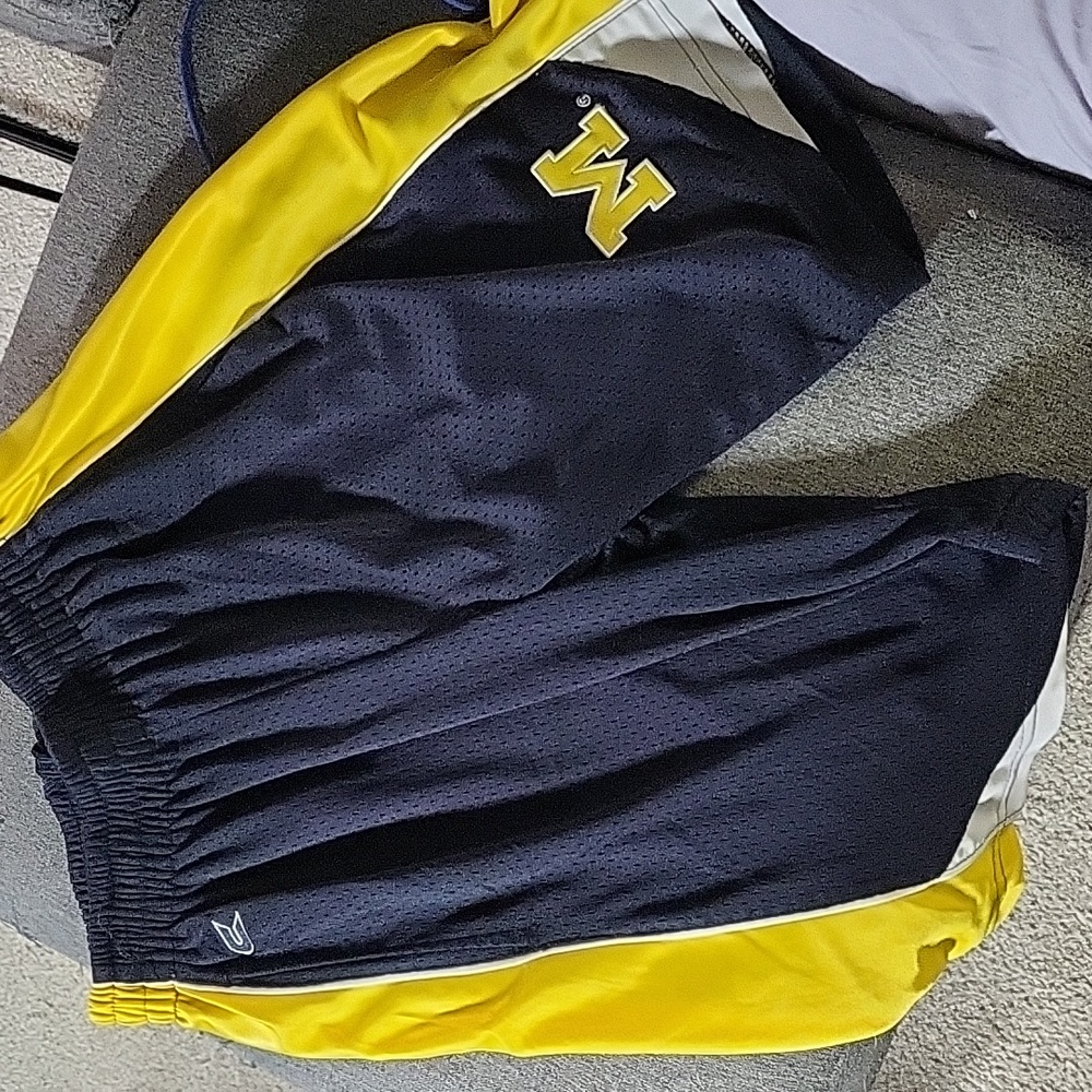 Vintage Michigan basketball shorts